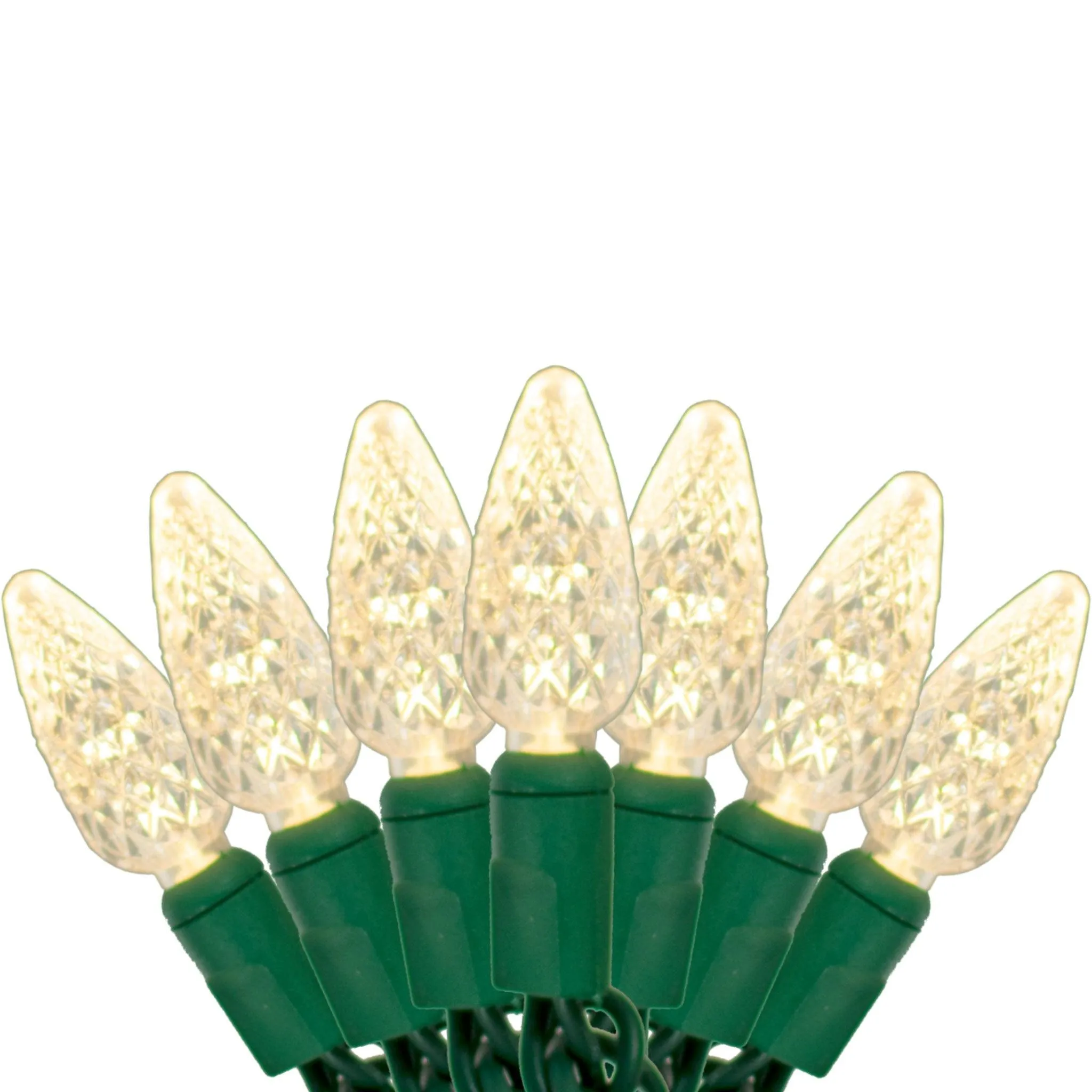 C6 LED Warm White Christmas Lights