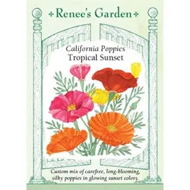 California Poppy Tropical Sunset by Renee's Garden