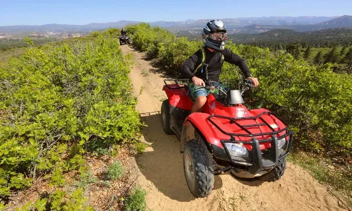 Off-road quad bike experience with WildX, Bloemendal