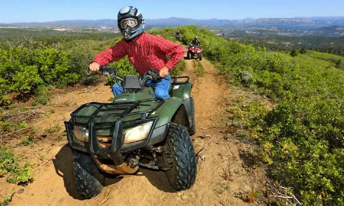 Off-road quad bike experience with WildX, Bloemendal