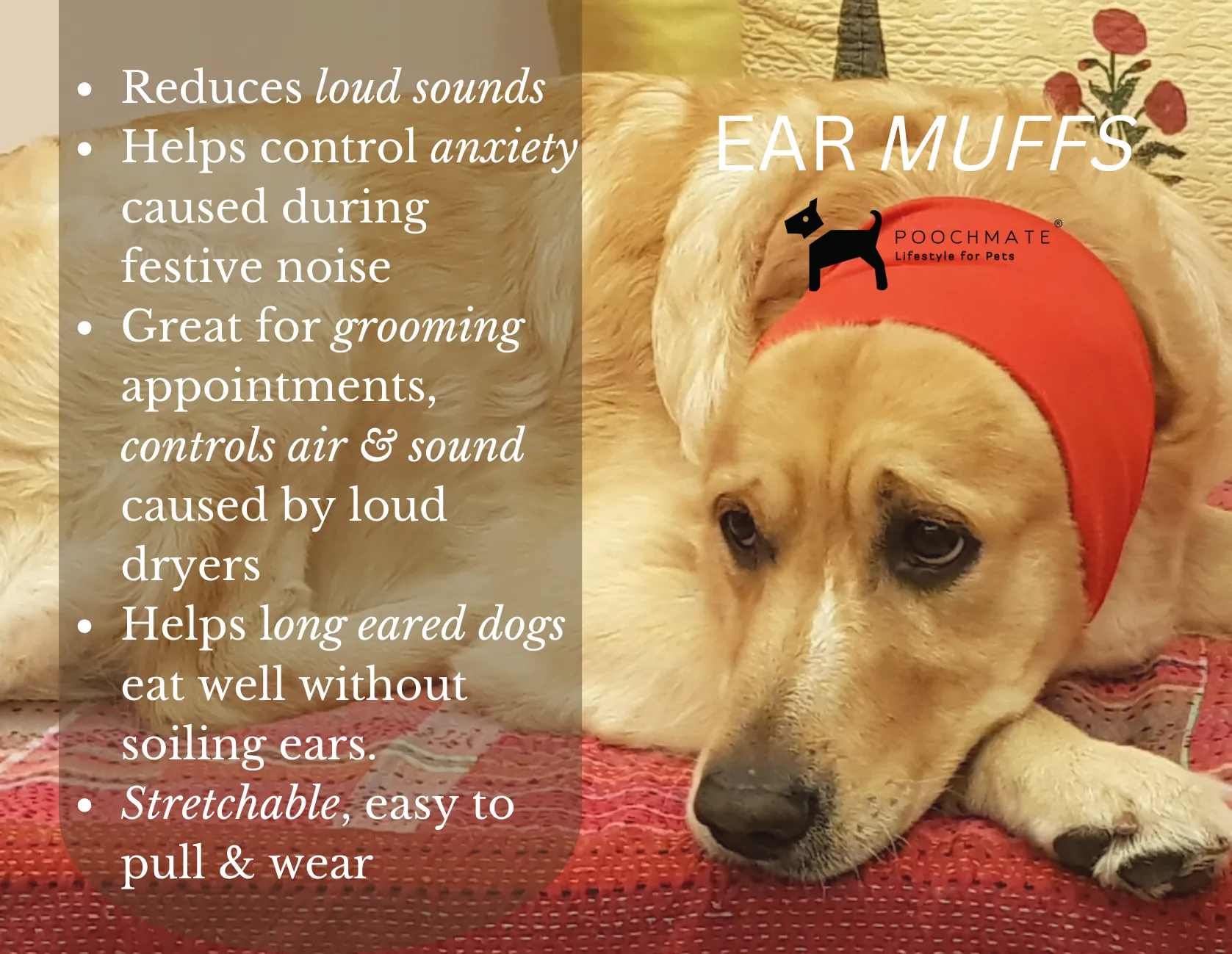 PoochMate Diwali Dog Gift Box Midi