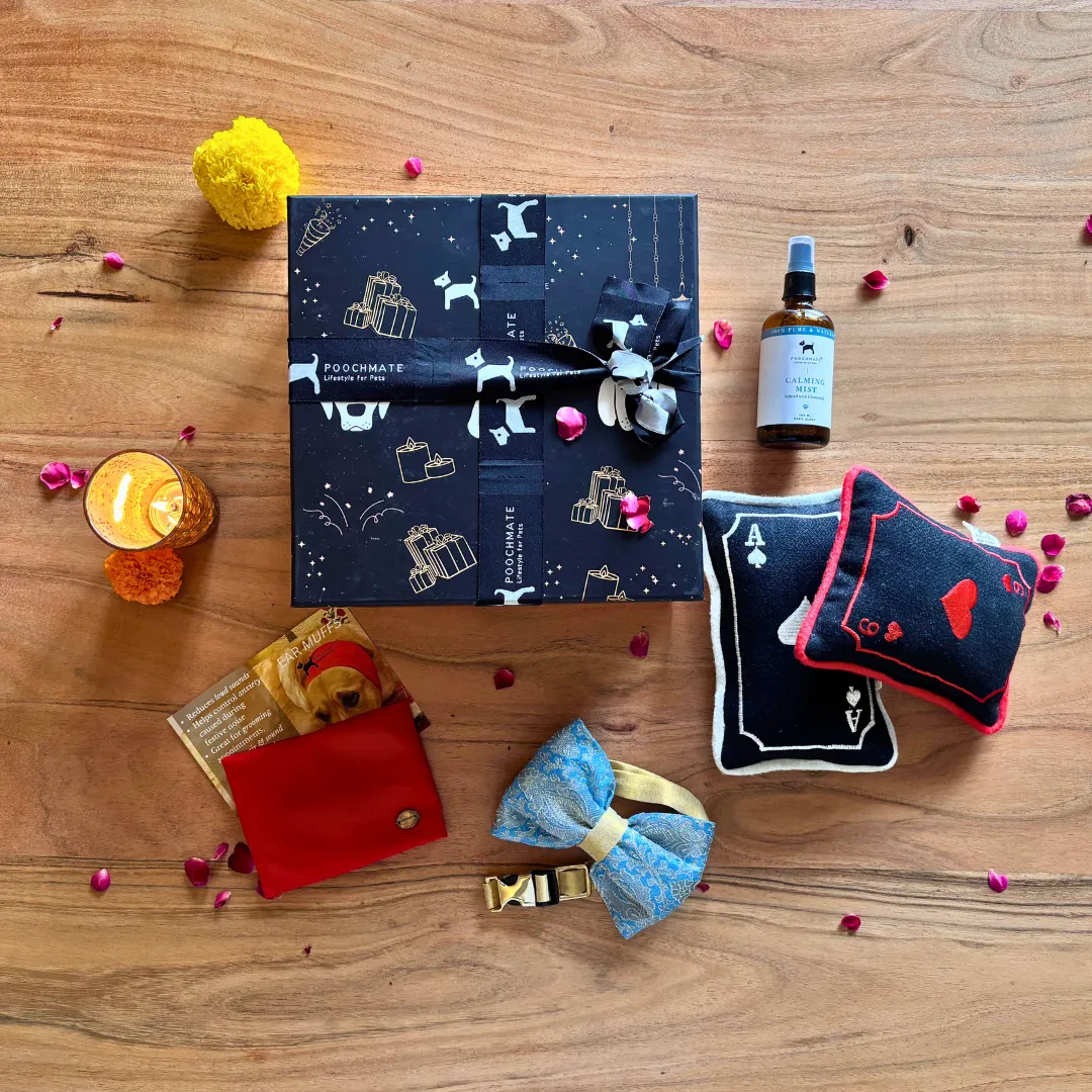 PoochMate Diwali Dog Gift Box Midi