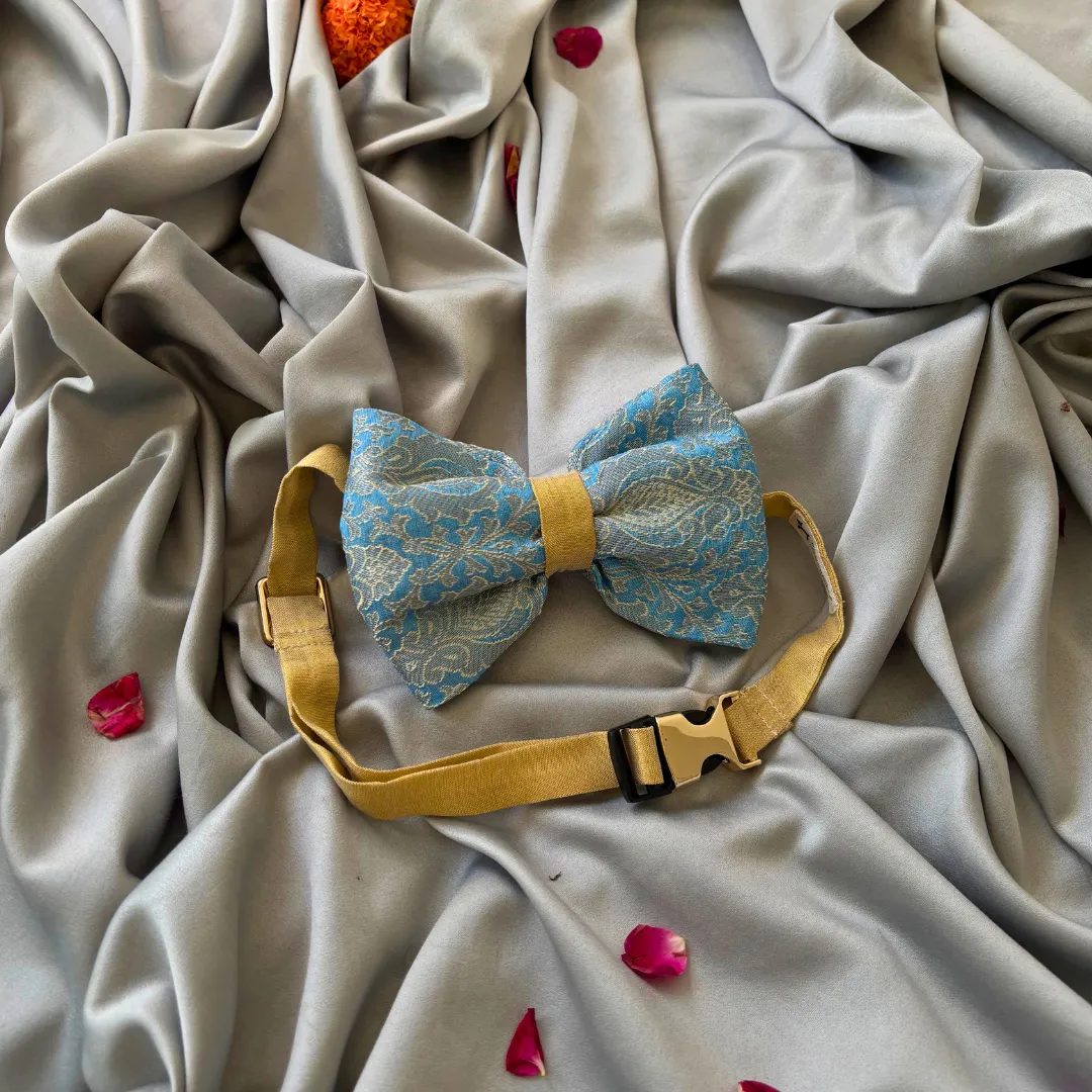 PoochMate Diwali Dog Gift Box Midi