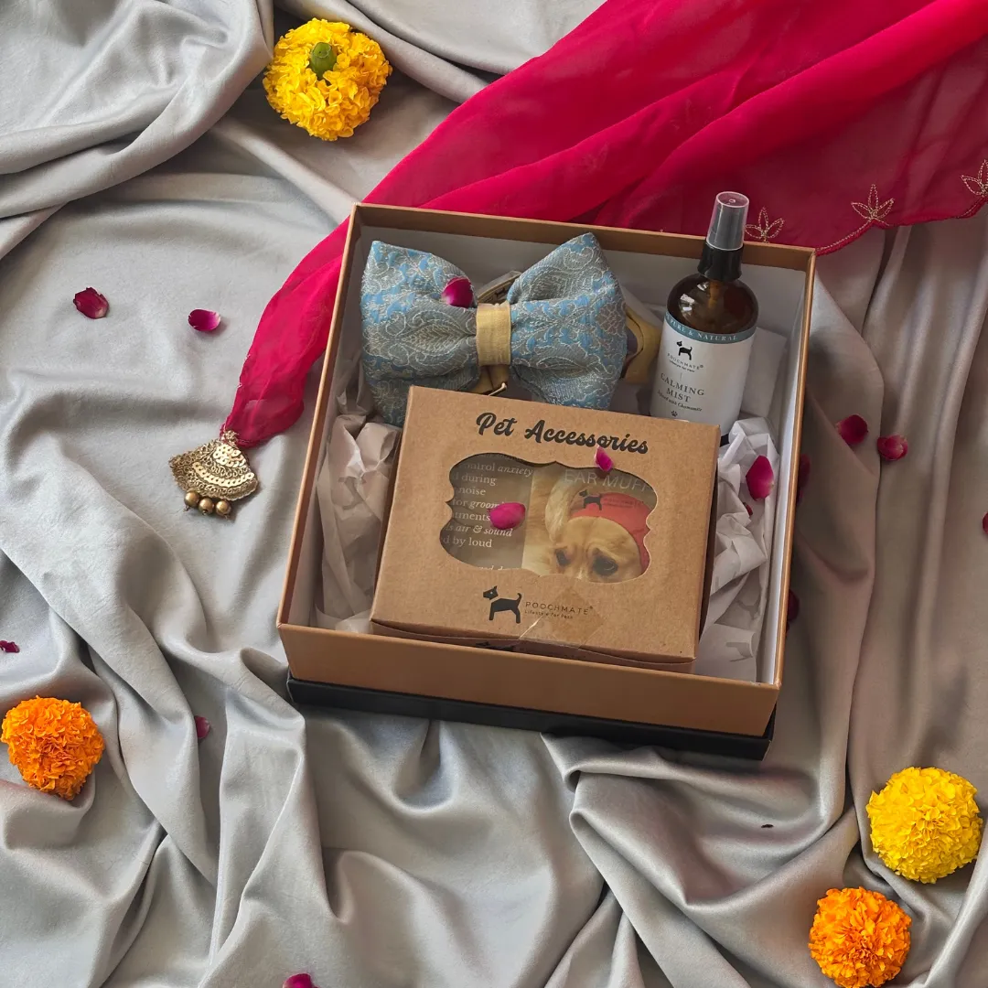 PoochMate Diwali Dog Gift Box Mini
